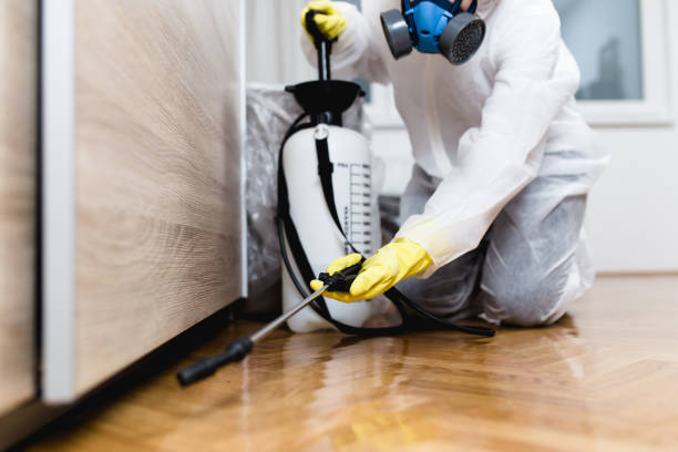 Best Residential Pest Control  in Torrington, WY