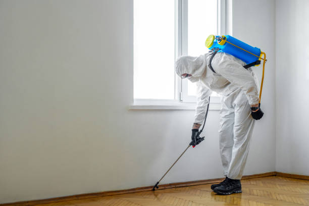 Best Flea Control Services  in Torrington, WY