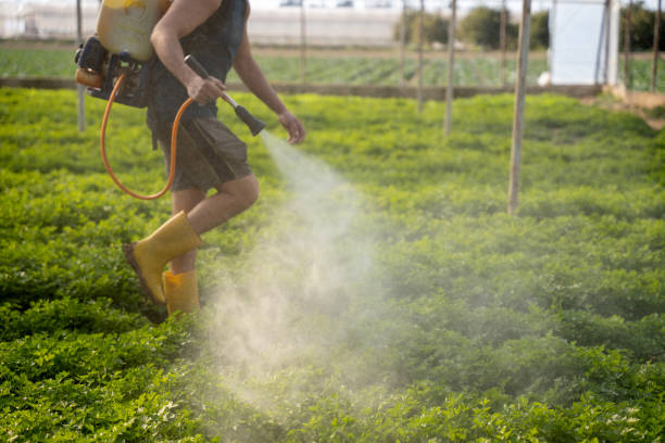 Insect Control in Torrington, WY