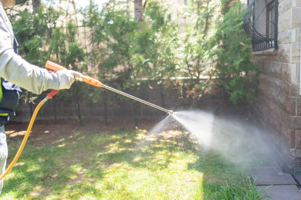 Best Affordable Pest Control Services  in Torrington, WY