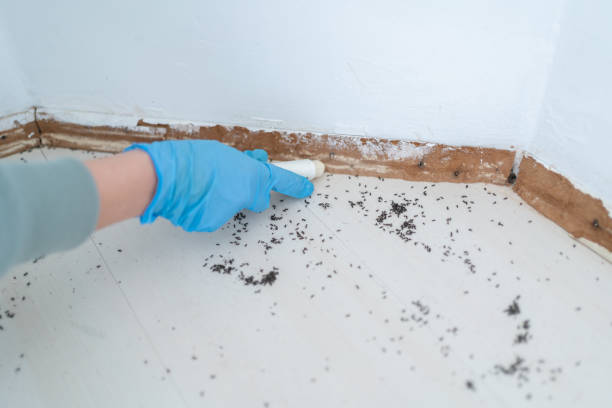 Best Wildlife Control Services  in Torrington, WY